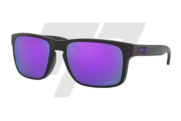 Oakley Holbrook Prizm
